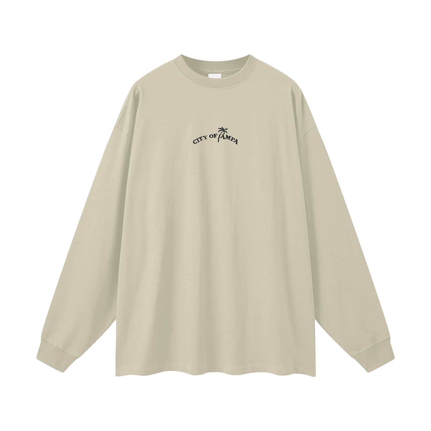 City of Tampa Oversized Long Sleeve Tee