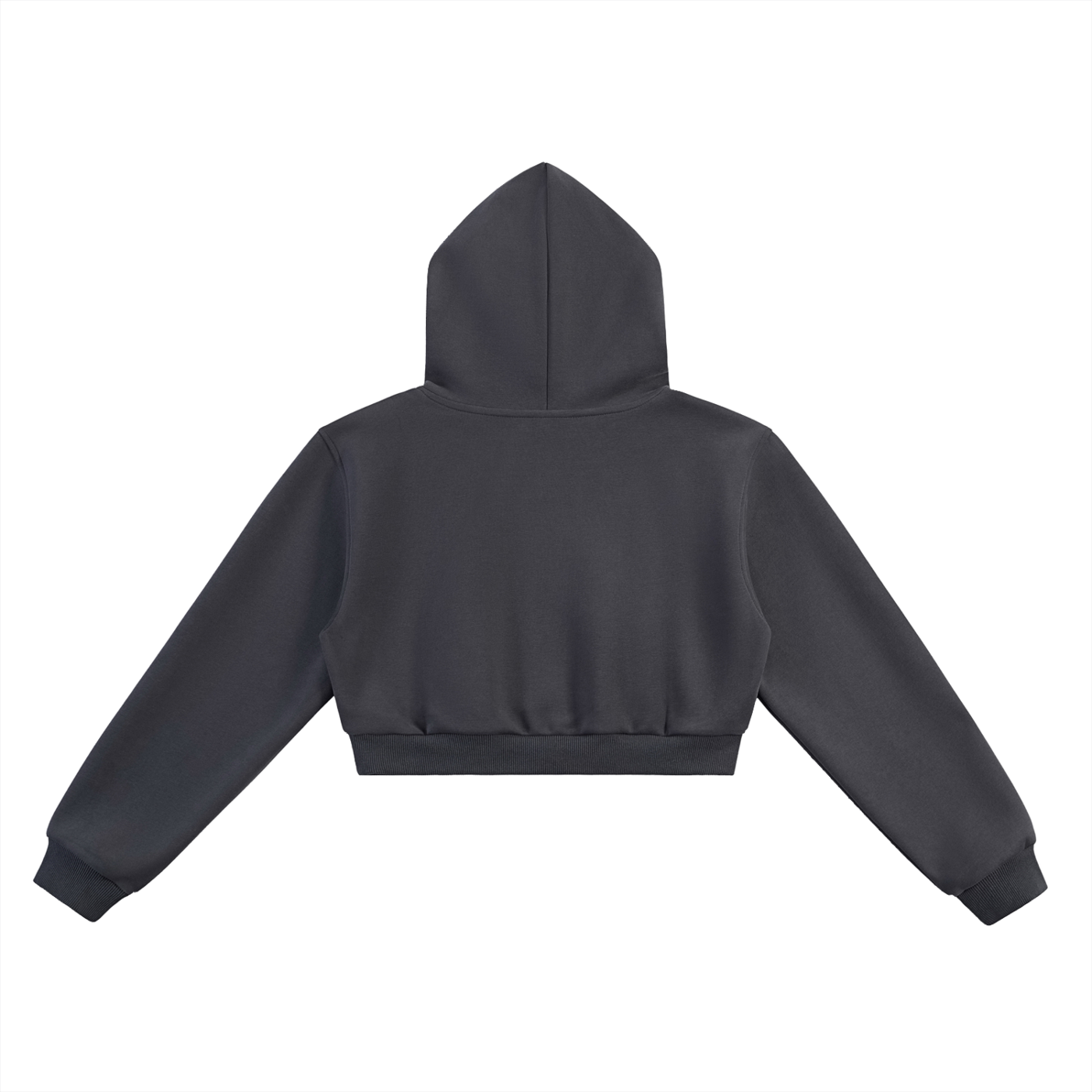 Tampa Weekly Cropped Hoodie