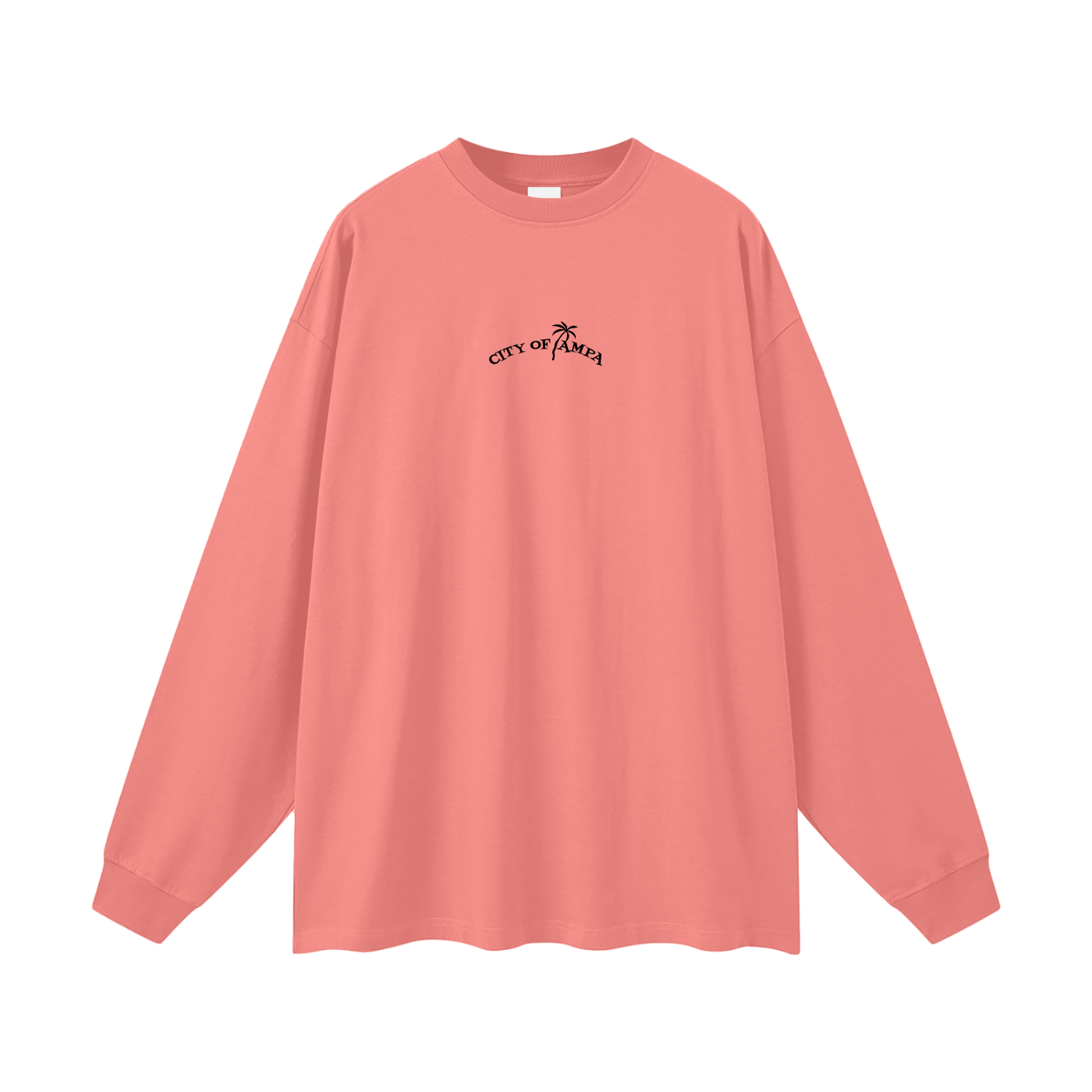 City of Tampa Oversized Long Sleeve Tee