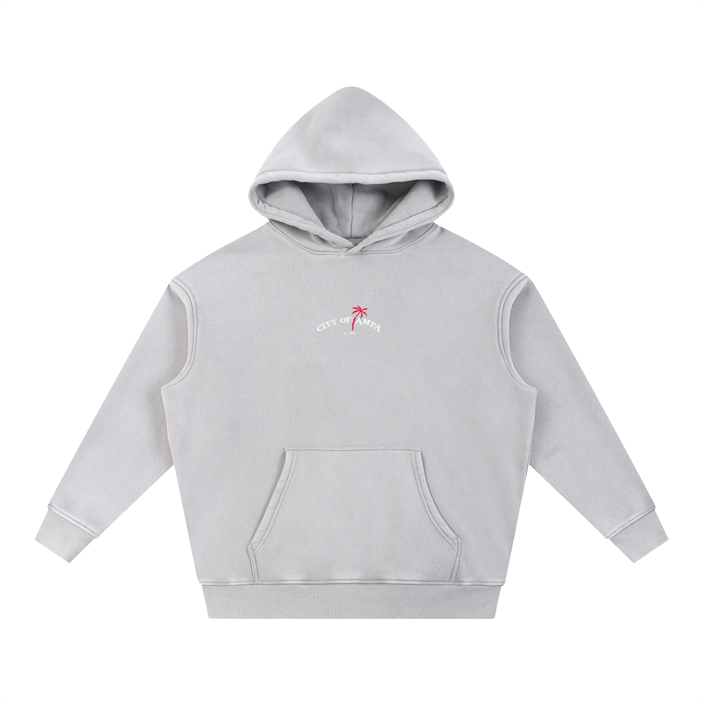 City of Tampa Washed Hoodie