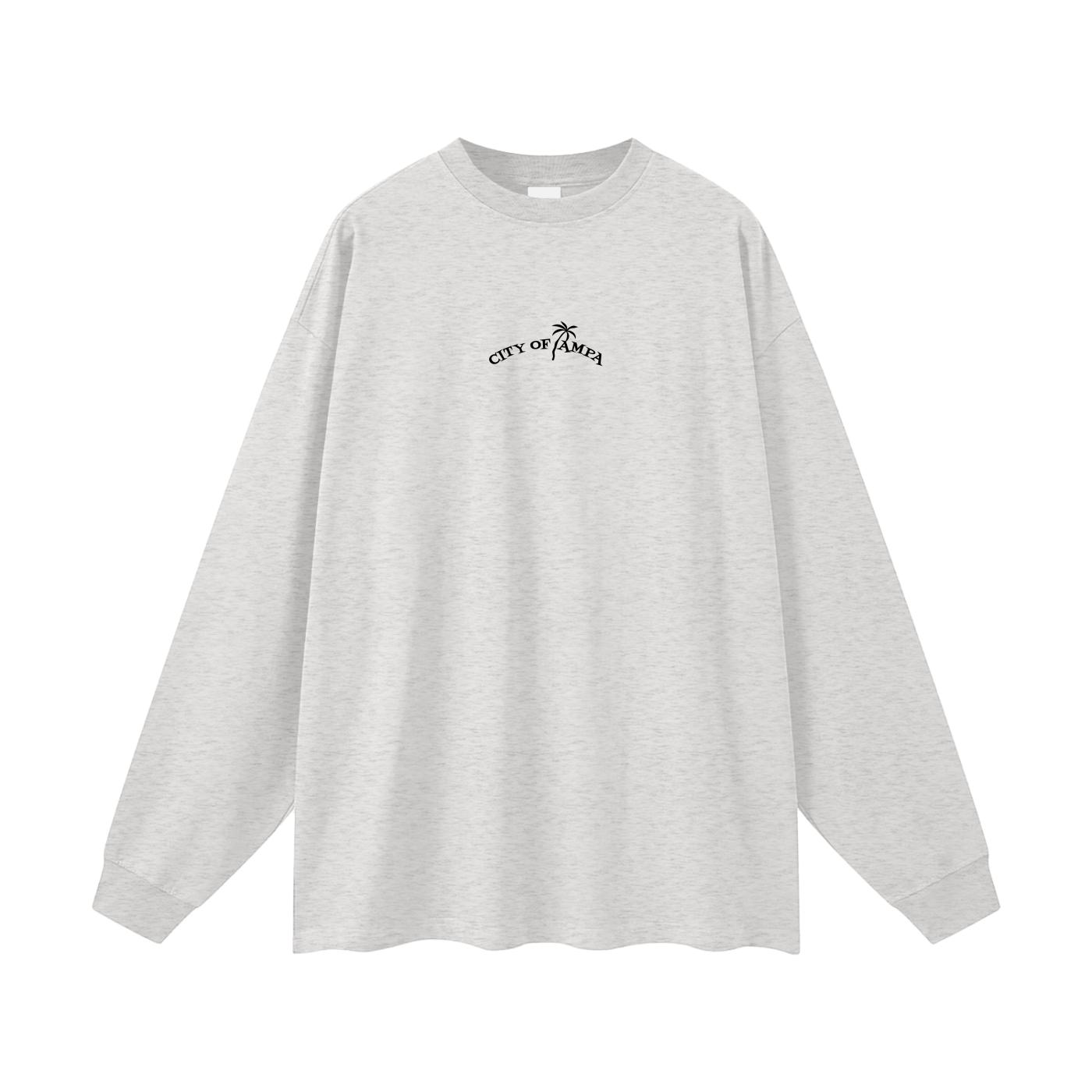 City of Tampa Oversized Long Sleeve Tee